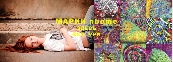 твердый Алзамай