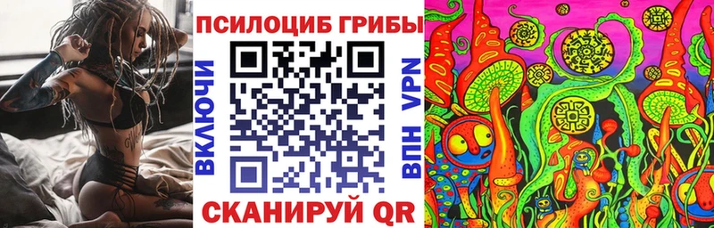 Галлюциногенные грибы прущие грибы  где продают   Качканар 