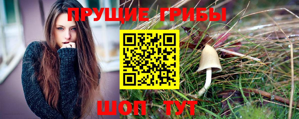 Псилоцибиновые грибы Cubensis Качканар