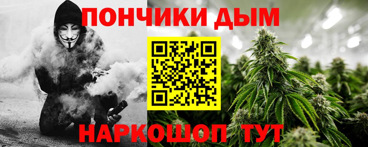 Марихуана сатива Качканар